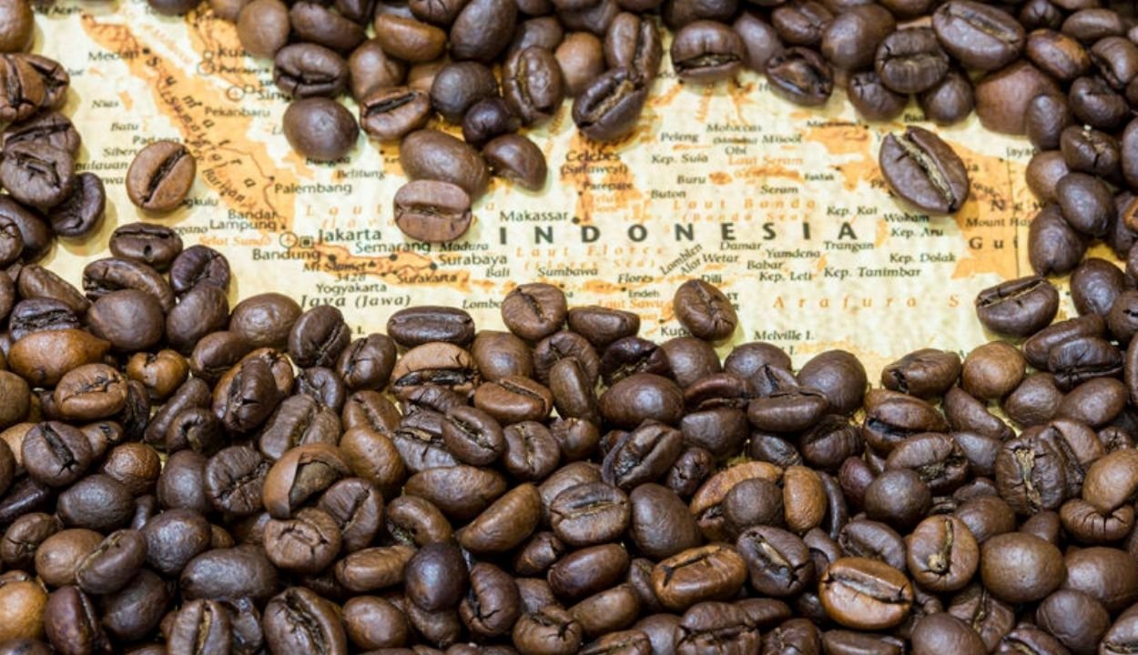 Mau Usaha Kopi? Wajib Kenali Dulu Jenis Kopi Indonesia | STIE BHAKTI ...