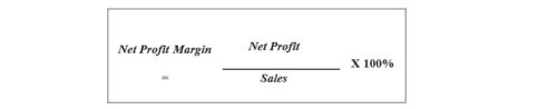 Rumus Net Profit Margin